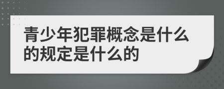 青少年犯罪概念是什么的規(guī)定是什么的