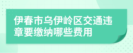 伊春市烏伊嶺區(qū)交通違章要繳納哪些費用