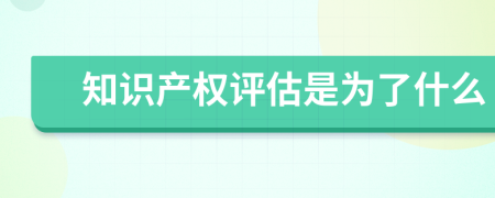 知識(shí)產(chǎn)權(quán)評(píng)估是為了什么