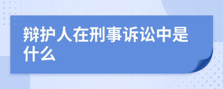 辯護(hù)人在刑事訴訟中是什么