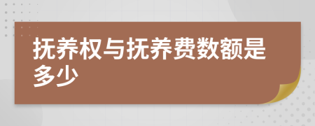 撫養(yǎng)權與撫養(yǎng)費數(shù)額是多少