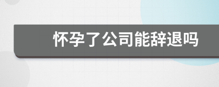 懷孕了公司能辭退嗎