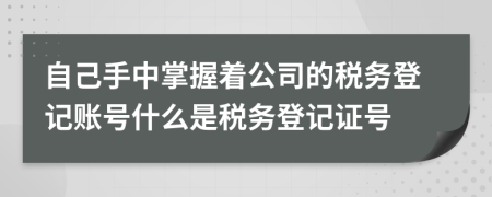 自己手中掌握著公司的稅務(wù)登記賬號(hào)什么是稅務(wù)登記證號(hào)