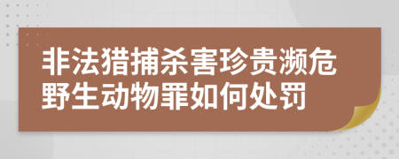 非法獵捕殺害珍貴瀕危野生動物罪如何處罰