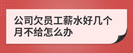 公司欠員工薪水好幾個(gè)月不給怎么辦