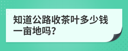 知道公路收茶葉多少錢一畝地嗎?
