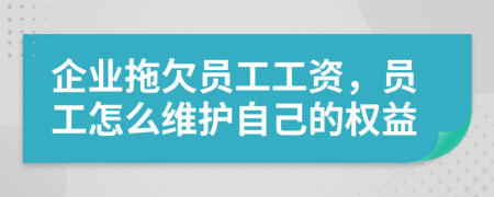 企業(yè)拖欠員工工資，員工怎么維護(hù)自己的權(quán)益