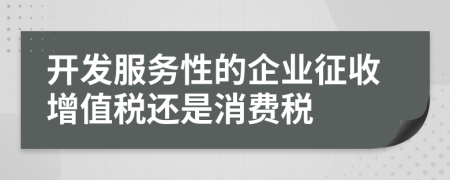 開發(fā)服務(wù)性的企業(yè)征收增值稅還是消費稅