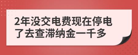 2年沒(méi)交電費(fèi)現(xiàn)在停電了去查滯納金一千多