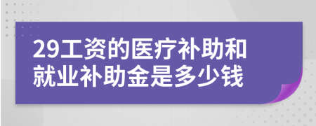 29工資的醫(yī)療補(bǔ)助和就業(yè)補(bǔ)助金是多少錢
