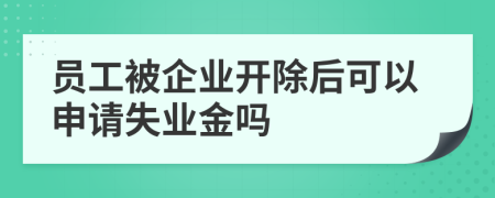 員工被企業(yè)開(kāi)除后可以申請(qǐng)失業(yè)金嗎
