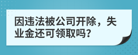 因違法被公司開除，失業(yè)金還可領(lǐng)取嗎？
