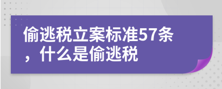 偷逃稅立案標(biāo)準(zhǔn)57條，什么是偷逃稅