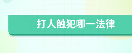 打人觸犯哪一法律