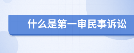 什么是第一審民事訴訟