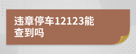 違章停車12123能查到嗎