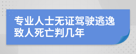 專業(yè)人士無(wú)證駕駛逃逸致人死亡判幾年