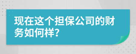 現(xiàn)在這個擔(dān)保公司的財務(wù)如何樣？