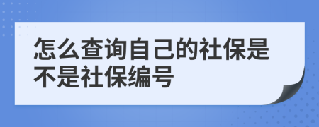怎么查詢(xún)自己的社保是不是社保編號(hào)