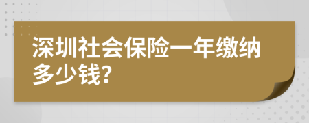 深圳社會保險一年繳納多少錢？