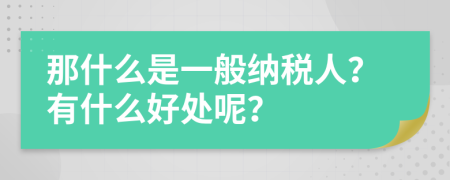 那什么是一般納稅人？有什么好處呢？