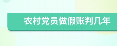 農(nóng)村黨員做假賬判幾年