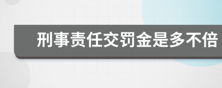 刑事責(zé)任交罰金是多不倍