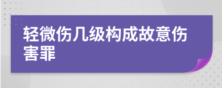 輕微傷幾級(jí)構(gòu)成故意傷害罪