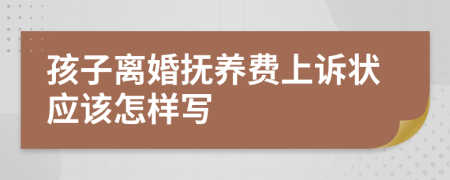 孩子離婚撫養(yǎng)費(fèi)上訴狀應(yīng)該怎樣寫