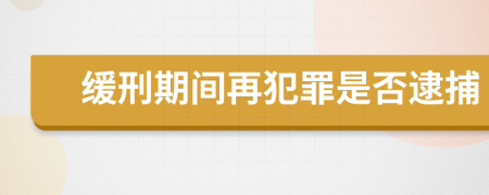 緩刑期間再犯罪是否逮捕