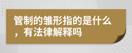 管制的雛形指的是什么，有法律解釋嗎