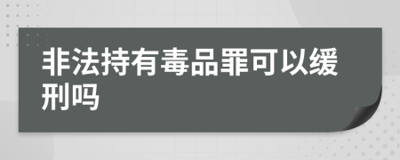 非法持有毒品罪可以緩刑嗎
