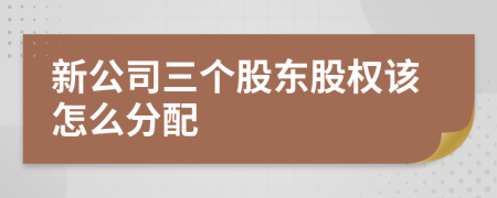 新公司三個(gè)股東股權(quán)該怎么分配
