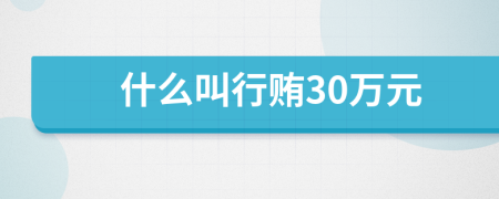 什么叫行賄30萬元