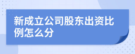 新成立公司股東出資比例怎么分