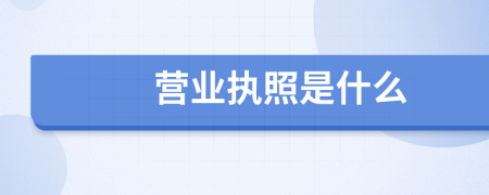 營業(yè)執(zhí)照是什么