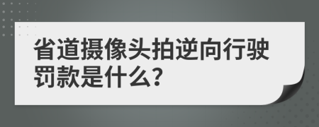 省道攝像頭拍逆向行駛罰款是什么？