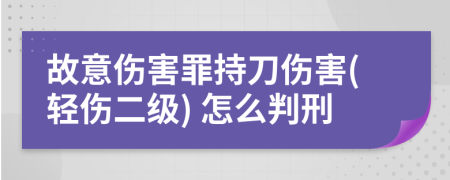故意傷害罪持刀傷害(輕傷二級(jí)) 怎么判刑