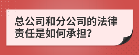 總公司和分公司的法律責(zé)任是如何承擔(dān)？