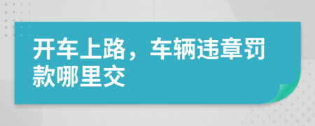 開車上路，車輛違章罰款哪里交