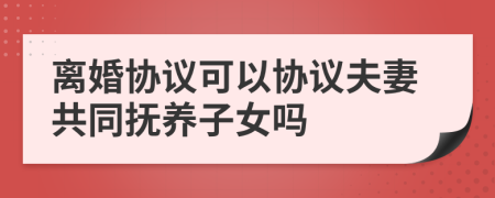 離婚協(xié)議可以協(xié)議夫妻共同撫養(yǎng)子女嗎