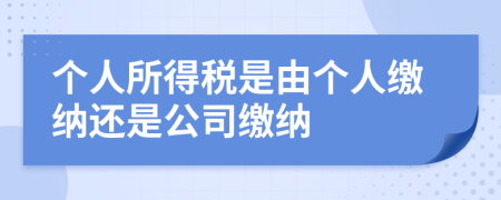 個人所得稅是由個人繳納還是公司繳納