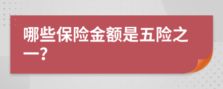 哪些保險金額是五險之一？