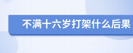 不滿十六歲打架什么后果