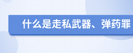 什么是走私武器、彈藥罪