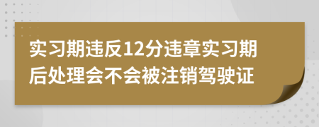 實習期違反12分違章實習期后處理會不會被注銷駕駛證