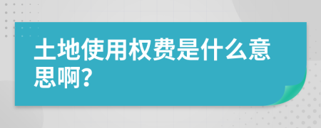 土地使用權(quán)費(fèi)是什么意思啊？
