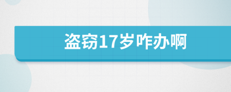 盜竊17歲咋辦啊