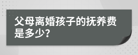 父母離婚孩子的撫養(yǎng)費(fèi)是多少？
