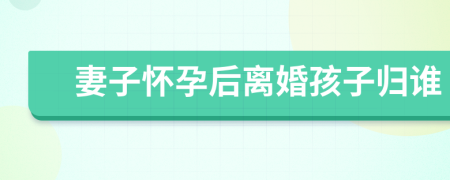 妻子懷孕后離婚孩子歸誰(shuí)